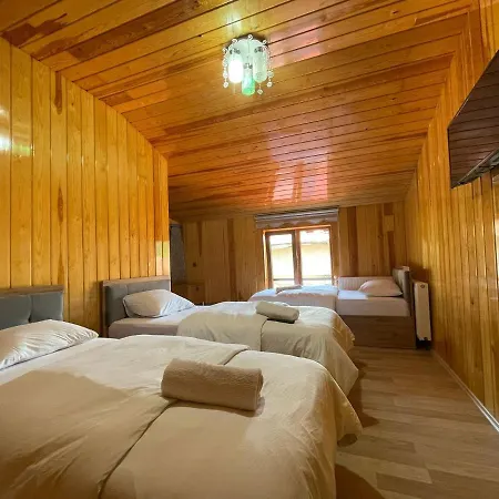 Falay Apartment Uzungol