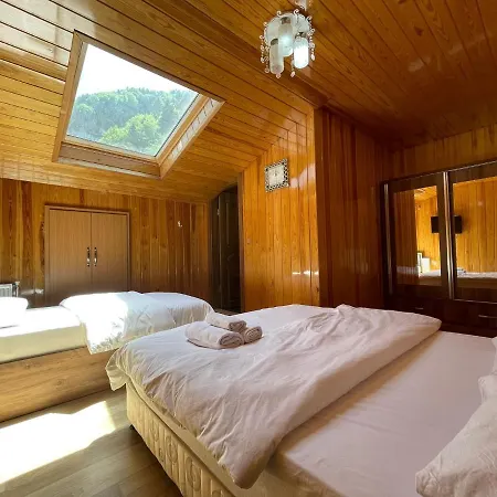Falay Apartment Uzungol